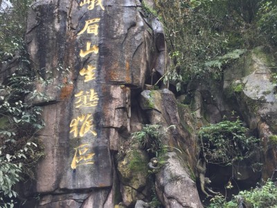 南宁香磨山景区：天下第一奇山，地下河仙境，民族风采尽显，生态天堂一览无遗