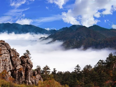 南宁神农架：秘境之旅，云海奇观，草原牧歌，探寻世外桃源